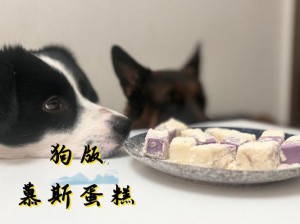 慕斯圈小狗任务：手工制作的美味零食