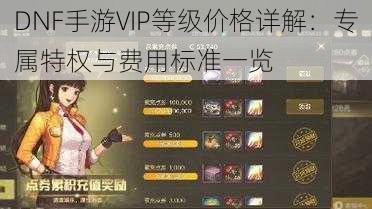 DNF手游VIP等级价格详解：专属特权与费用标准一览