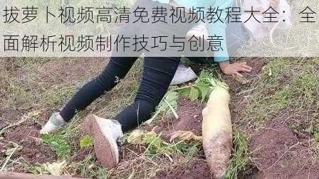 拔萝卜视频高清免费视频教程大全：全面解析视频制作技巧与创意