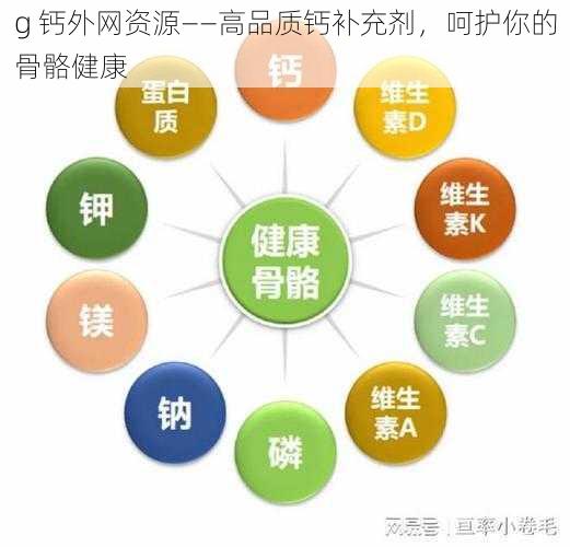 g 钙外网资源——高品质钙补充剂，呵护你的骨骼健康