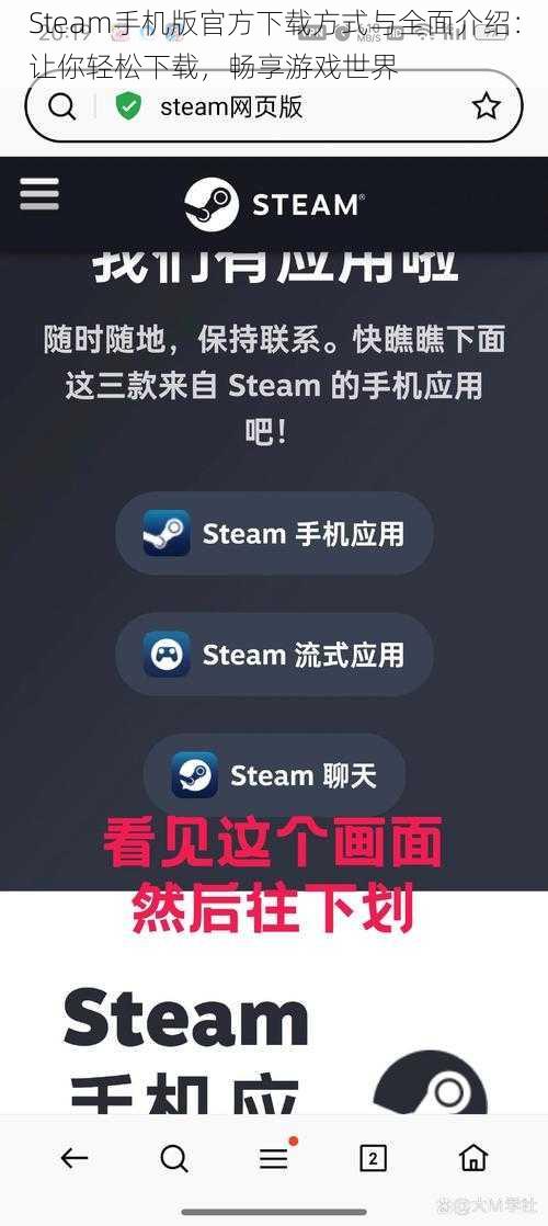 Steam手机版官方下载方式与全面介绍：让你轻松下载，畅享游戏世界